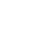 AlphaNeuralAI