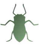 Aphid