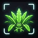 BeuPlant
