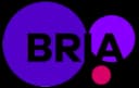 BriaAI