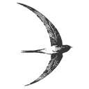 Core