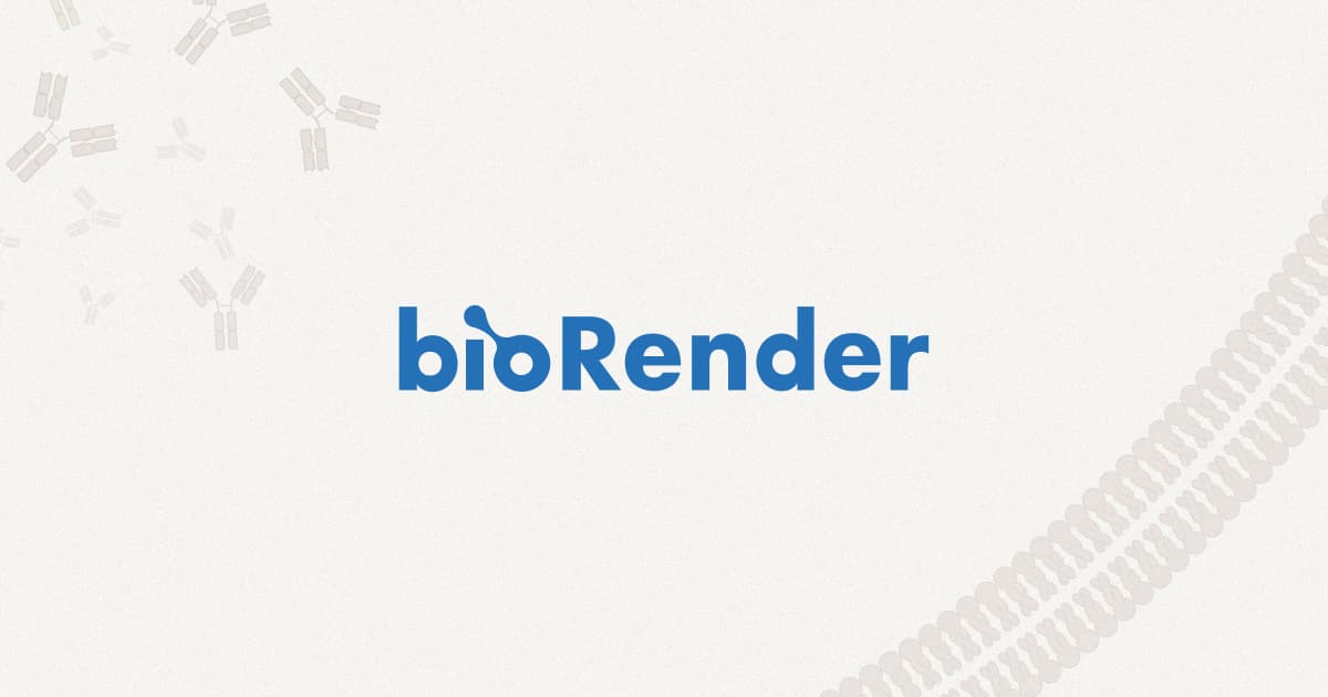 BioRender