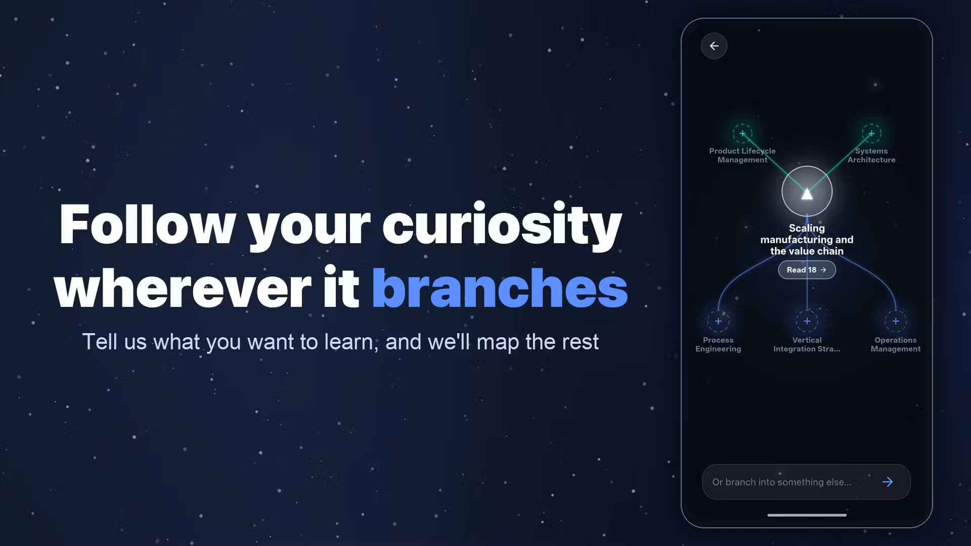 BrainFeed