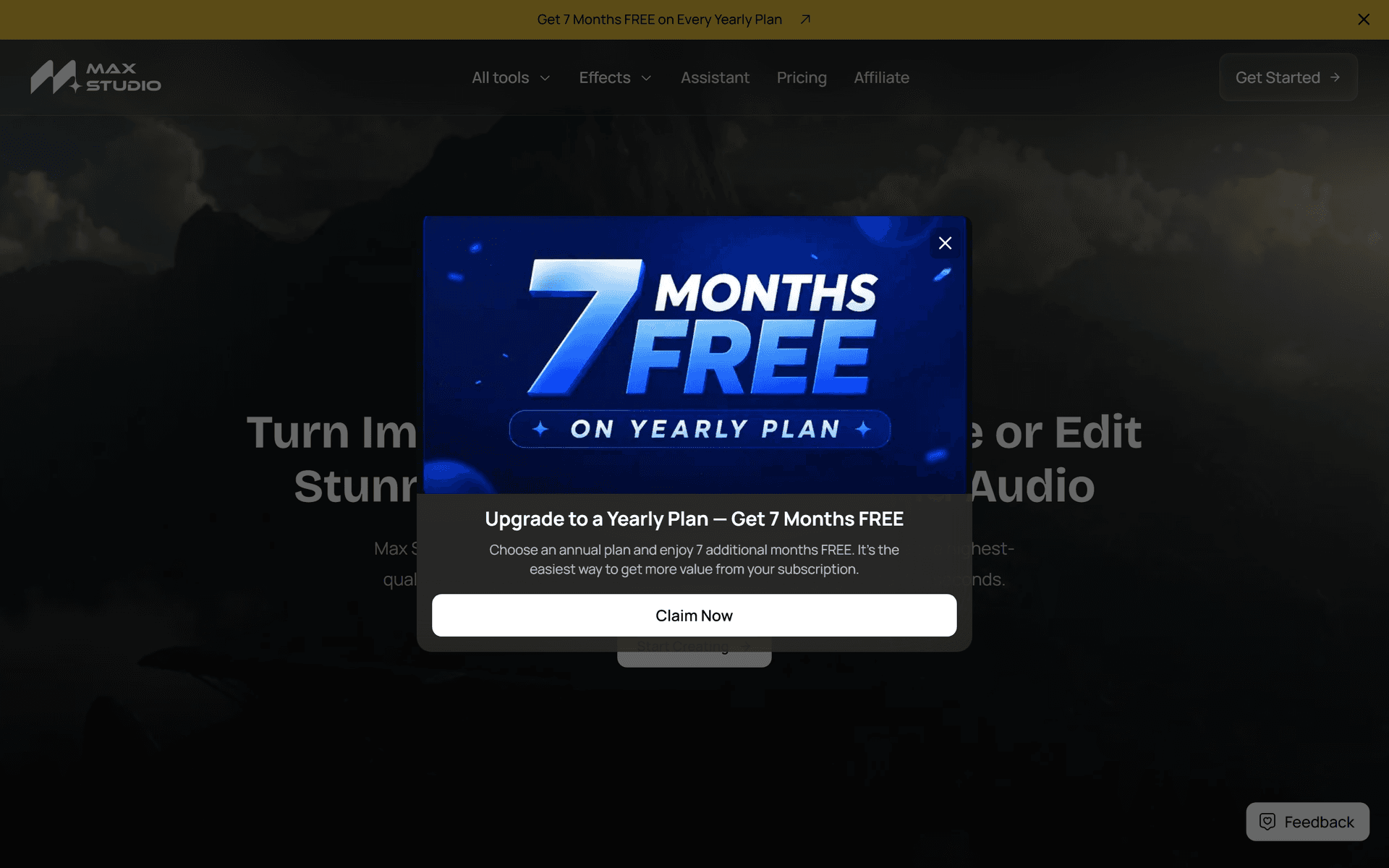 Max Studio