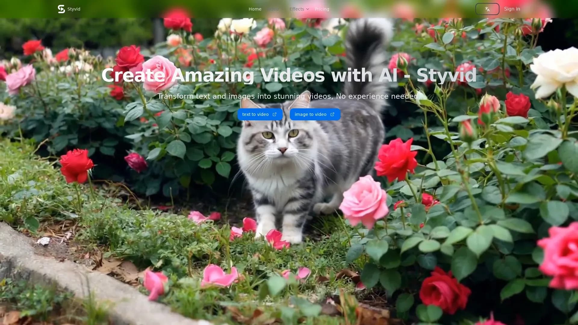 StyvidAi