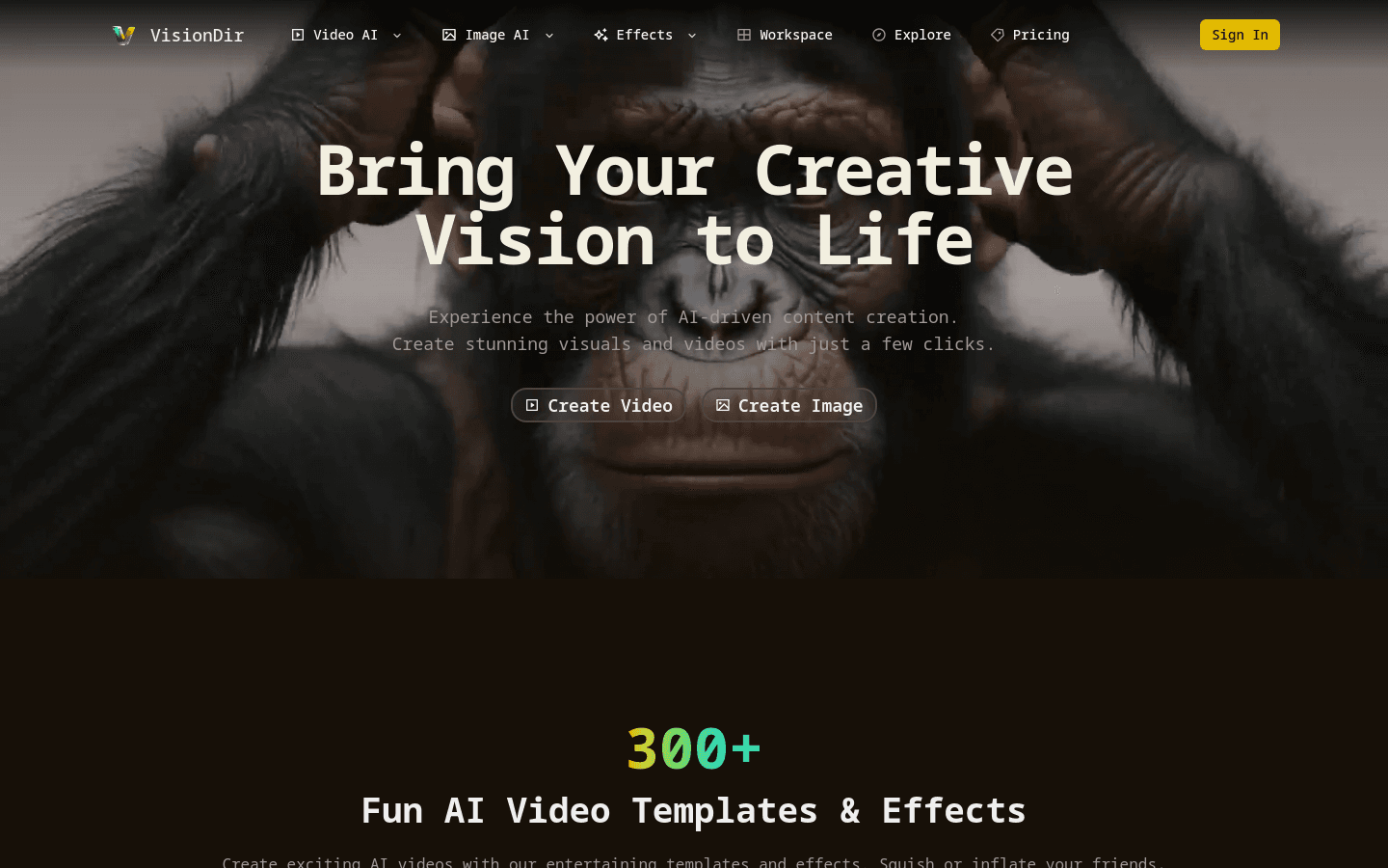 VisionDir