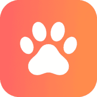 Pet.Video