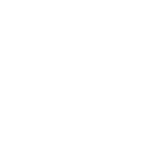 raomusic