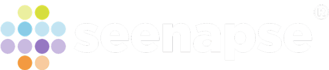 SeenapseAI