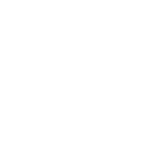 V2Fun