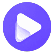 Vid2Vid