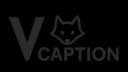 VideoSubtitleGenerator