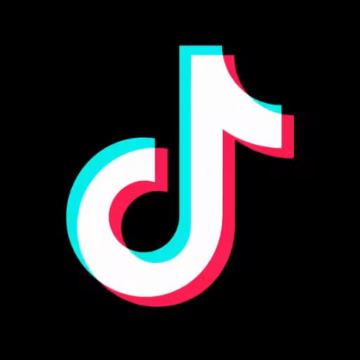 TikTok Slideshow Downloader