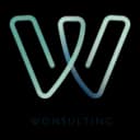 Wonsulting